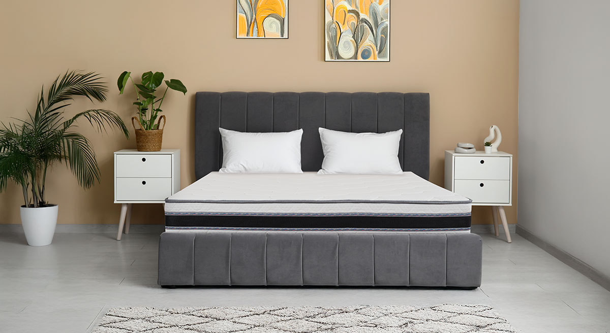 Dyshek-Soft-me-disajn-te-ri