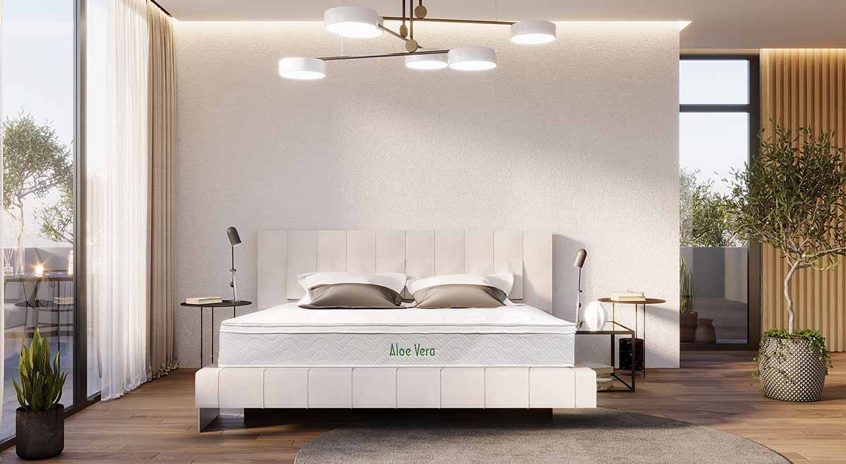 Dysheku-Aloe-Vera-web-new-design